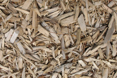 biomass boilers Matching Tye